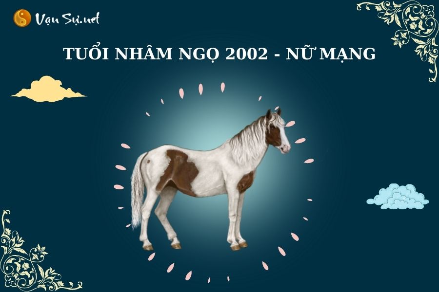 Horsescope Lifetime ee shabakada haweenka sanadka ee Horse of the Year of the Horse 2002
